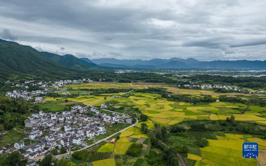 澳门真钱赌盘